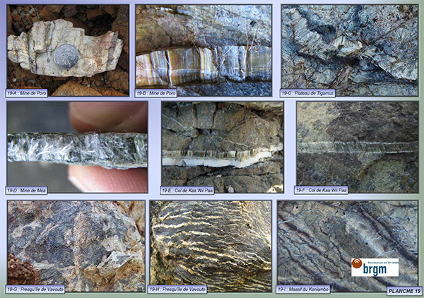 facies chrysotile nc